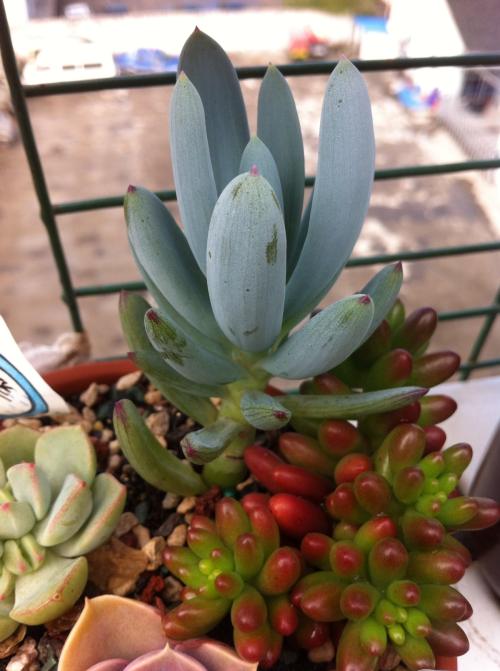 联大主席新年致辞 吁全世界协力终结新冠疫情