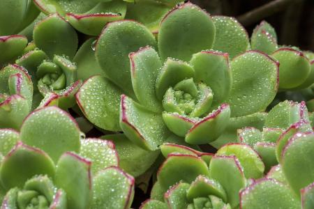 Ϻзչ͸ĸίԱᷢȷӦúй֪ͨ