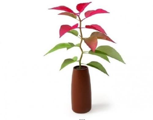 Íâ×Ê¡°ÇÀ³ï¡±A¹ÉÊг¡ ÖØµã²¼¾ÖÁ½´óÐÐÒµ