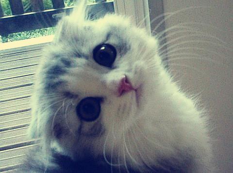 չͿվõҵ