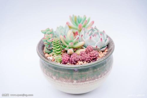 ÍõÒ»²©¸æºÚÇÖȨ°¸½«ÓÚ11Ô¿ªÍ¥