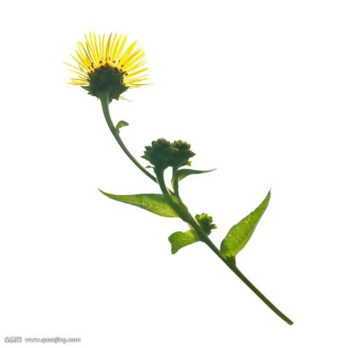 最强寒潮来袭,煤电气全力保供进行时