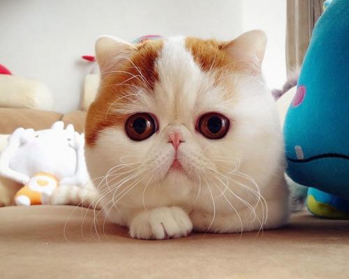 ÄϺ½¡°Ó¢ÐÛ»ú³¤¡±ÀëÊÀ Ôø¼Ý¹ÊÕÏ·É»ú°²È«Â䵨